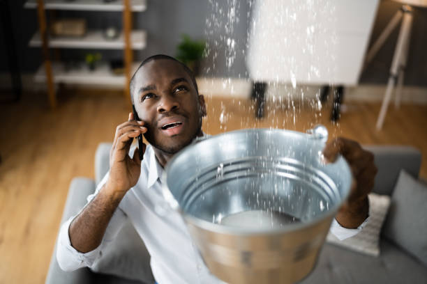 Best Ceiling water damage repair  in Colonia, NJ
