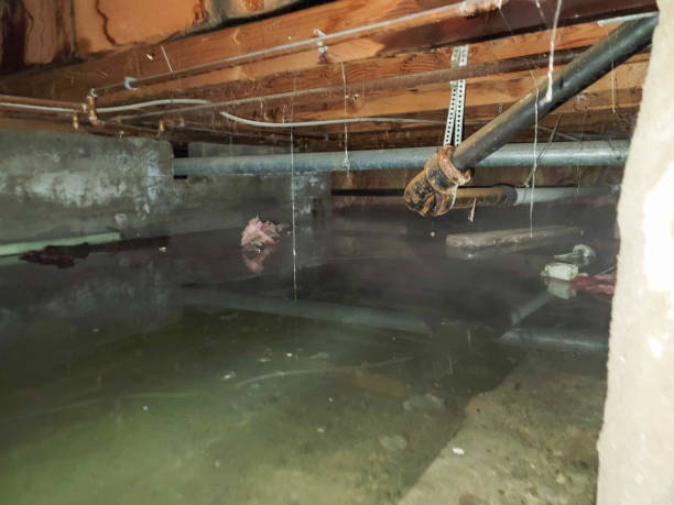 Professional Water damage restoration in Colonia, NJ