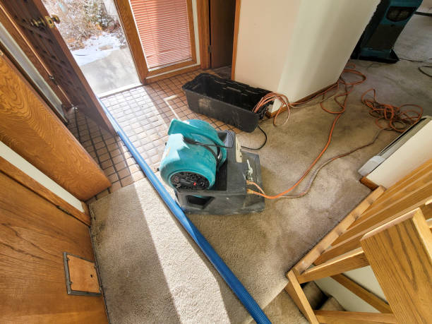 Carpet water damage restoration in Colonia, NJ