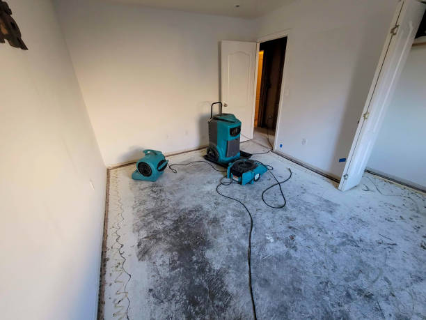 Best Water damage restoration services  in Colonia, NJ