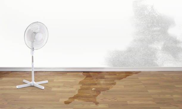 Best Carpet water damage restoration  in Colonia, NJ