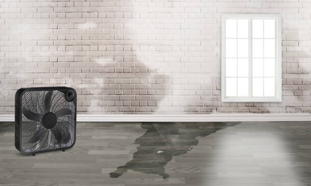 Best Residential water damage restoration  in Colonia, NJ