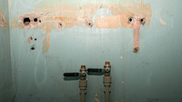 Best Carpet water damage restoration  in Colonia, NJ