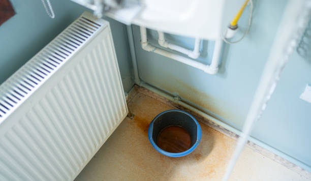 Water damage restoration mold remediation in Colonia, NJ