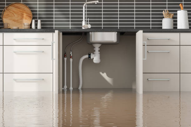 Best Water damage restoration mold remediation  in Colonia, NJ