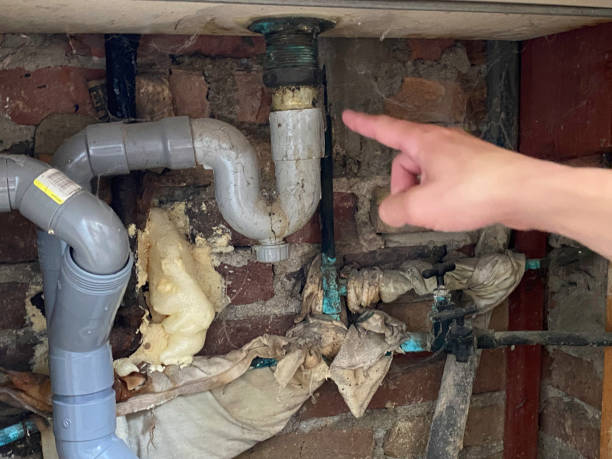 Best Flood restoration services  in Colonia, NJ
