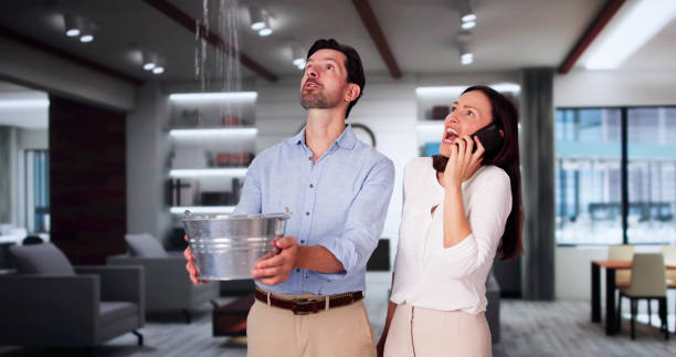 Best Water damage repair service  in Colonia, NJ