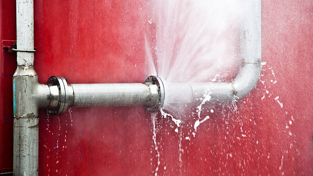 Best Flood damage cleanup  in Colonia, NJ